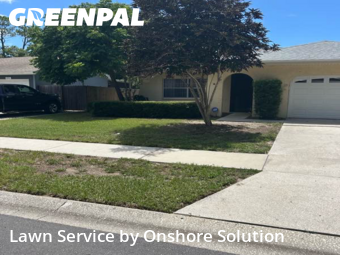 Grass Cut nearby Palm Harbor, FL, 
