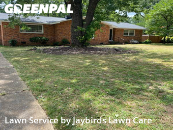 Lawn Cutting nearby Decatur, AL, 