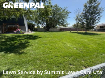 Grass Services in Roy, 84067, Yard Maintenance by Summit Lawn Care Uta, work completed in Nov , 2025