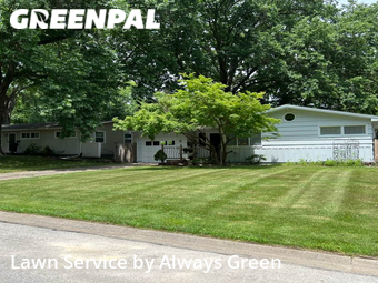Grass Cutting nearby Prairie Village, MO, 