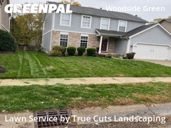 Turf Services in Gahanna, 43230, Yard Services by True Cuts Landscaping, work completed in Nov , 2025