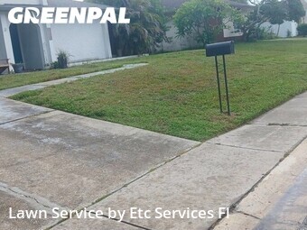 Grass Cut nearby St. Petersburg, FL, 