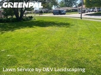 Lawn Maintenance nearby Joliet, IL, 