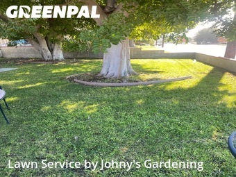 Work completed by local-landscaping-services-in-Burbank-CA