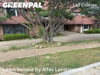 Lawn Cuttingin Irving,75062,Lawn Care Service by Alfas Landscaping, work completed in Jun , 2026