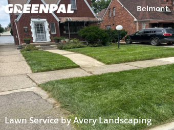 Yard Mowing nearby Detroit, MI, 