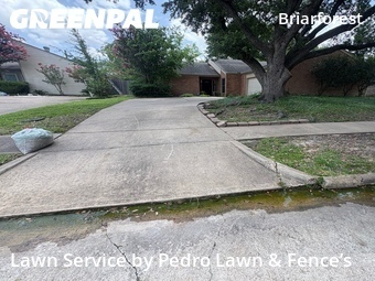 Lawn Cutin Houston,77077,Grass Cut by Pedro Lawn & Fence’s, work completed in Jun , 2026