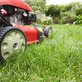 Neutral Ground Mower Repair 3
