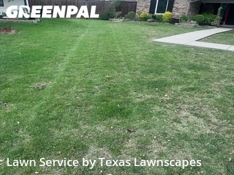 Local Lawn And Landscape Maintenance Services Near Me In Irving,75060,Landscapers by Texas Lawnscapes, work completed in Apr , 2026