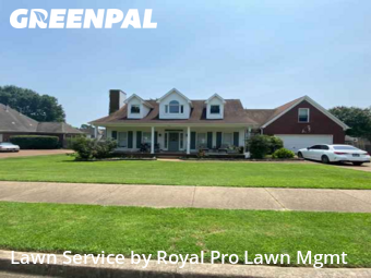 Yard Care Services in Collierville, 38017, Grass Services by Royal Pro Lawn Mgmt, work completed in Nov , 2025