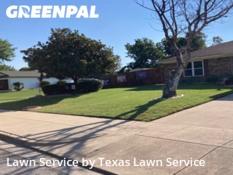 Lawn Care nearby Saginaw, TX, 