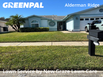 Lawn Care Service nearby Palm Harbor, FL, 