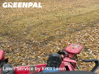 Grass Cut nearby Mendota Heights, MN, 
