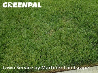 Lawn Care Service nearby Mount Dora, FL, 
