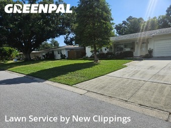 Grass Cut nearby Clearwater, FL, 