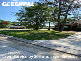 Grass Cutting nearby Magnolia, TX, 