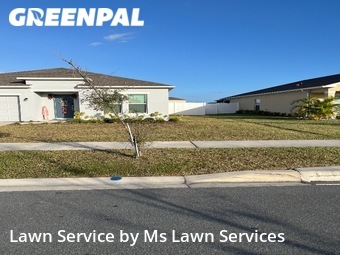 Lawn Cut nearby Kissimmee, FL, 