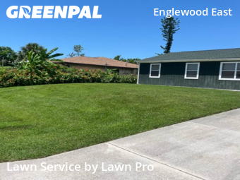 Grass Cuttingin Englewood,34224,Lawn Service by Lawn Pro, work completed in Nov , 2025