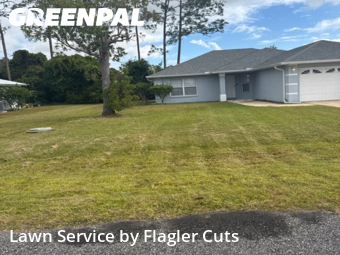 Yard Cutting nearby Palm Coast, FL, 