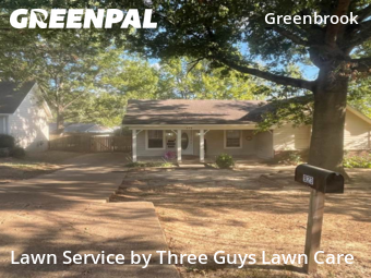 Grass Care in Southaven, 38671, Mowing Services by Three Guys Lawn Care, work completed in Nov , 2025