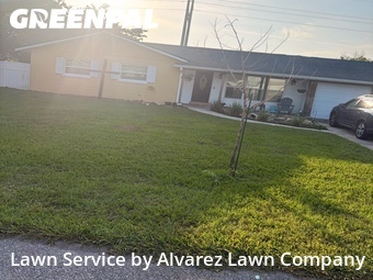 Grass Cutting nearby Apopka, FL, 