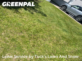 Lawn Care nearby Ann Arbor, MI, 