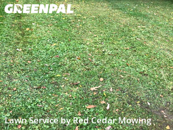 Grass Cutting nearby Lansing, MI, 