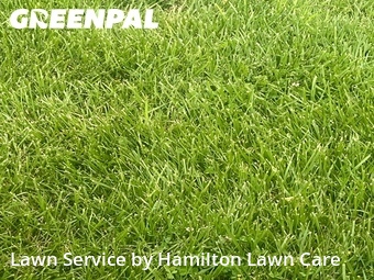 Lawn Care Service nearby Fortville, IN, 