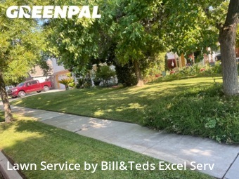 Yard Mowing nearby Kerman, CA, 