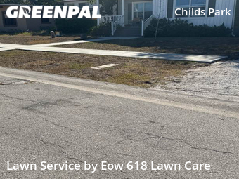 Grass Cut nearby St. Petersburg, FL, 