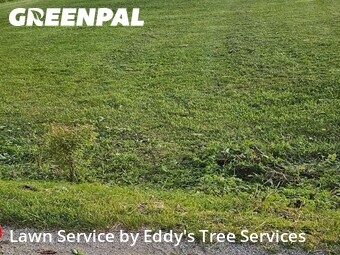 Lawn Maintenance nearby Marne, MI, 