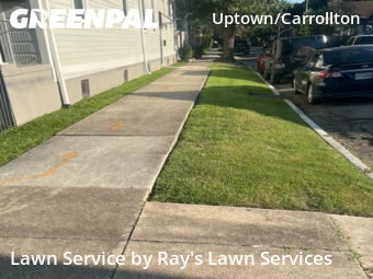 Lawn Care nearby New Orleans, LA, 