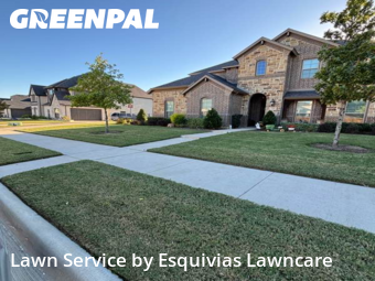 Lawn Servicein Mansfield,76063,Yard Cutting by Esquivias Lawncare, work completed in Nov , 2025