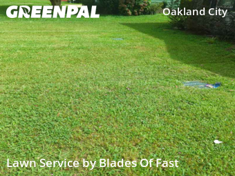 Lawn Mow nearby Atlanta, GA, 