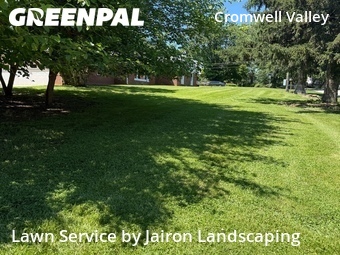 Lawn mowed in Towson, 21286