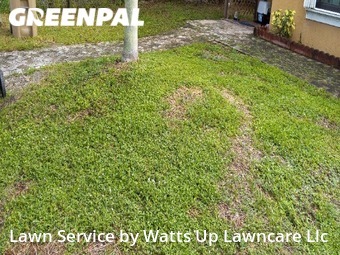 Lawn Care nearby Davie, FL, 