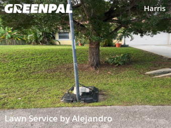Grass Cutting nearby Lehigh Acres, FL, 