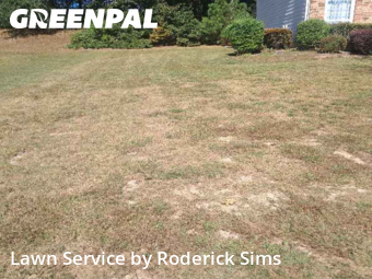 Lawn Mowing nearby Dacula, GA, 