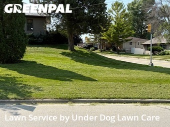 Lawn Cut nearby Green Bay, WI, 