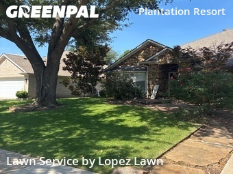 Grass Cutin Frisco,75035,Yard Cutting by Lopez Lawn, work completed in Jun , 2026