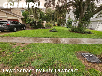 Grass Cut nearby Tampa, FL, 