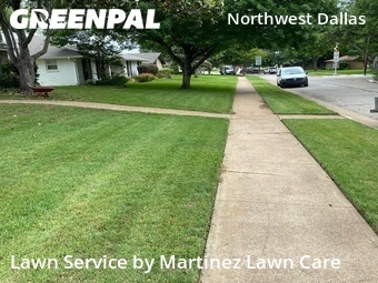Lawn Mowing Service nearby Dallas, TX, 