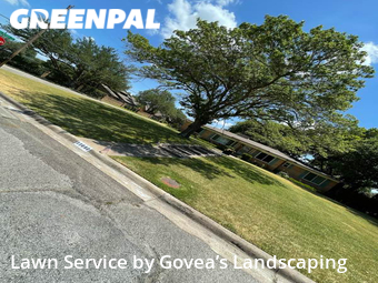 Yard Cutting nearby Dallas, TX, 