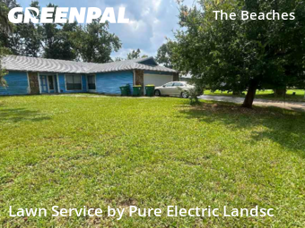 Lawn Maintenancein Jacksonville Beach,32250,Grass Cut by Pure Electric Landsc, work completed in Feb , 2026