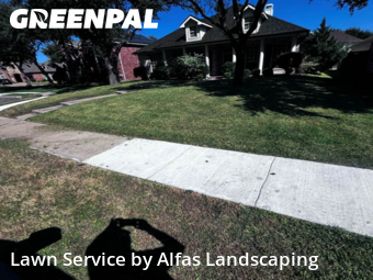 Lawn Mowingin The Colony,75056,Lawn Care Service by Alfas Landscaping, work completed in Dec , 2025