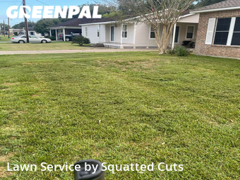 Lawn Cut nearby Duson, LA, 