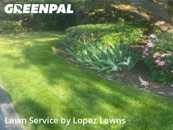 Lawn Mowing Service nearby Kirkland, WA, 