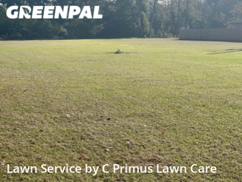 Lawn Mowing nearby Livingston, LA, 