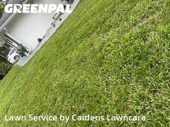 Grass Cut nearby West Palm Beach, FL, 