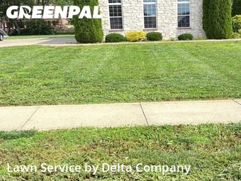 Lawn Cut nearby Bowling Green, KY, 